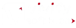 Vivify Soft Tech - Custom Software & AI Development
